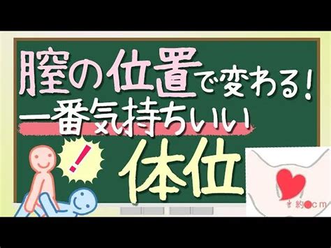 後背位 角度|女性器の上付き・下付きの違いやチェック方法は？